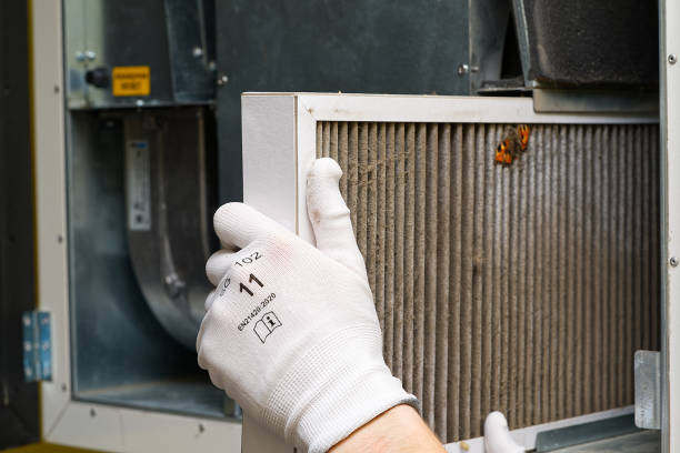Best Professional Duct Cleaning Services  in Nneconne, WI